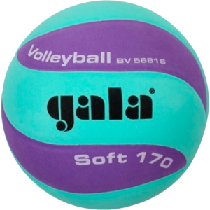 Мяч волейбольный Gala Soft 170 №5 Green-Purple (BV5681SCF) в Луцке