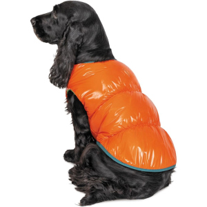 Жилет Pet Fashion "SPRING" для собак розмір XL, Помаранчевий (4823082420506) ТОП в Луцьку