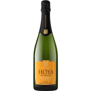 Вино игристое Hoya de Cadenas Cava Brut Nature белое брют 0.75 л 11.5% (8410310605994) лучшая модель в Луцке