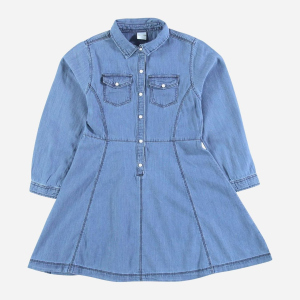 Платье джинсовое с длинными рукавами Piazza Italia 70029 172 см Denim (2070029001089) ТОП в Луцке