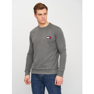 хорошая модель Свитшот Tommy Hilfiger 10842.2 XL (50) Серый