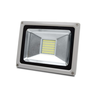 купить LED-прожектор Lightwell LW-30W-220