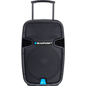 купить Акустическая система Blaupunkt PA15 (5907150501883)