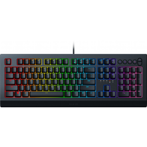 Клавіатура провідна Razer Cynosa V2 USB RU (RZ03-03400700-R3R1) ТОП в Луцьку