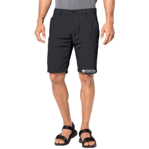 Шорти Jack Wolfskin Desert Valley Shorts Men 1504741-6350 46 (4055001757213) краща модель в Луцьку