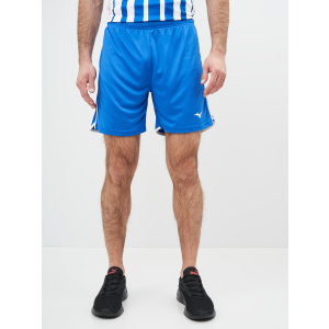 Спортивні шорти Mizuno High-Kyu Short V2EB700122 L (5054698344941) в Луцьку