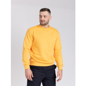 Свитшот Feel and Fly Noan 232316 L Orange (4822323131065) лучшая модель в Луцке