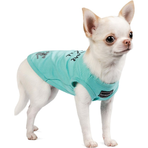 Борцювання для собак Pet Fashion "Puppy" XS М'ята (4823082420094)