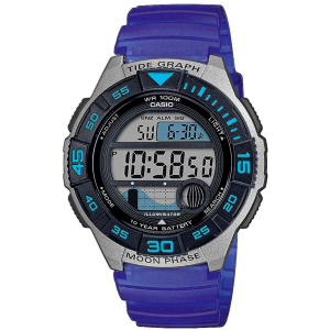 Чоловічий годинник CASIO WS-1100H-2AVEF в Луцьку