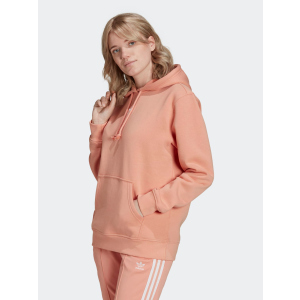 Худі Adidas Hoodie H34724 M/L Amblus (4064055536033) ТОП в Луцьку