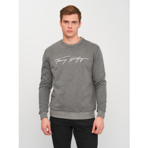 Свитшот Tommy Hilfiger 10841.2 XL (50) Серый надежный