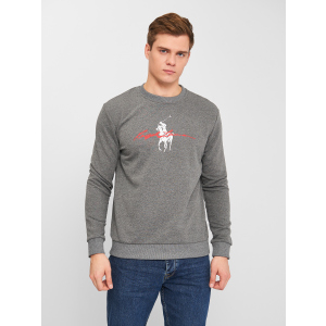 Свитшот Polo Ralph Lauren 10734.3 2XL (52) Серый лучшая модель в Луцке