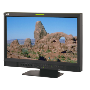 Монитор Jvc Monitor Dt-V21G2 в Луцке