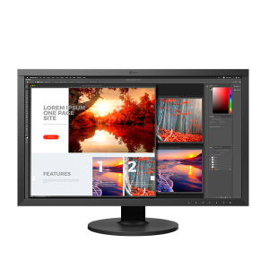 купить Монитор Eizo 27" ColorEdge CS2740-BK