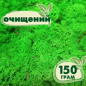 Очищений стабілізований мох ягель Nordic moss Зелений трав'яний світлий 150 грам ТОП в Луцьку