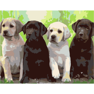 купити Картина за номерами Rosa Start 4 Dogs 35 x 45 см (4823098522003)