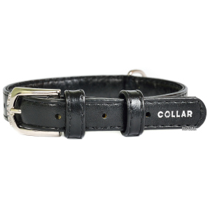 Ошейник для собак кожаный Collar WAUDOG Glamour с QR паспортом, без украшений, S, Ш 20 мм, Дл 30-39 см (32931)