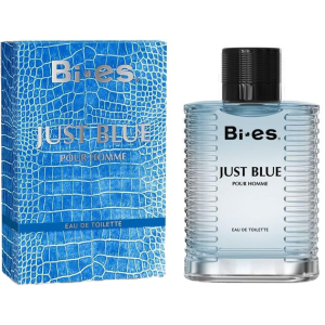 Туалетна вода для чоловіків Bi-es Just Blue Men Versace - Eau de Fraiche 100 мл (5902734841902) в Луцьку