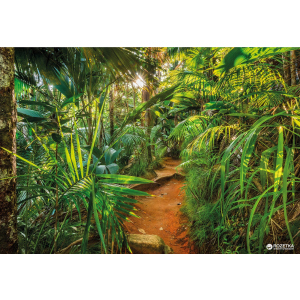 Фотообои бумажные Komar Jungle Trail 368х254 см 8 сегментов (8-989) в Луцке