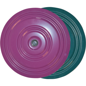 Диск здоровья металлический IVN 28 см Фиолетово-зеленый (CH-3744) в Луцке