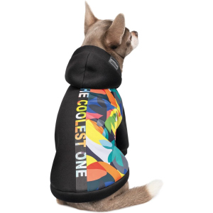 Толстовка Pet Fashion "THE COOLEST" для собак размер M2, Многоцветная (4823082420353)