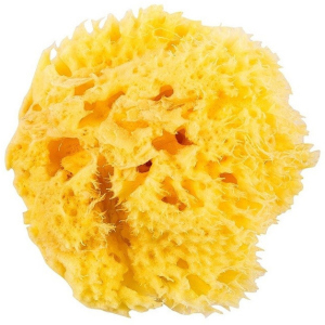 Натуральна морська губка Ok Baby Honeycomb Sea Sponge розмір 12 (38471200) в Луцьку