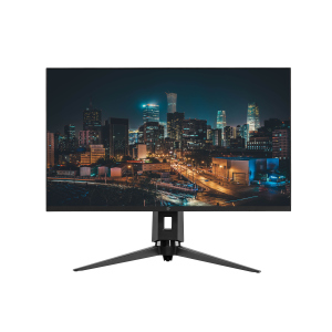 Монитор LCD 31.5" 2E D3220B D-Sub, DVI, HDMI, DP, MM, IPS, 2560x1440, FreeSync, HAS (2E-D3220B-01.UA) лучшая модель в Луцке